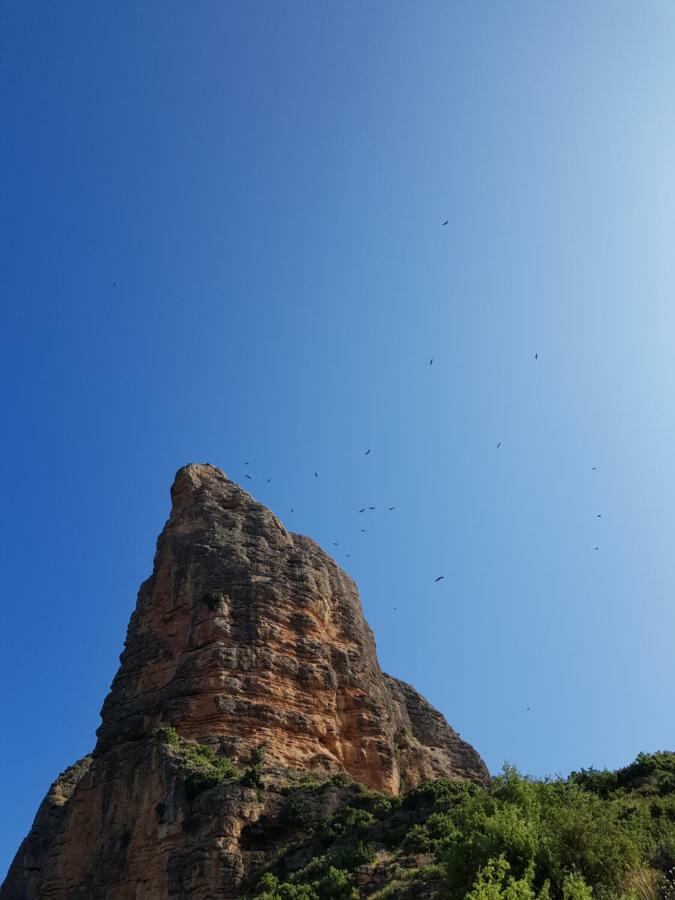 Natura Jordan Murillo de Gállego エクステリア 写真
